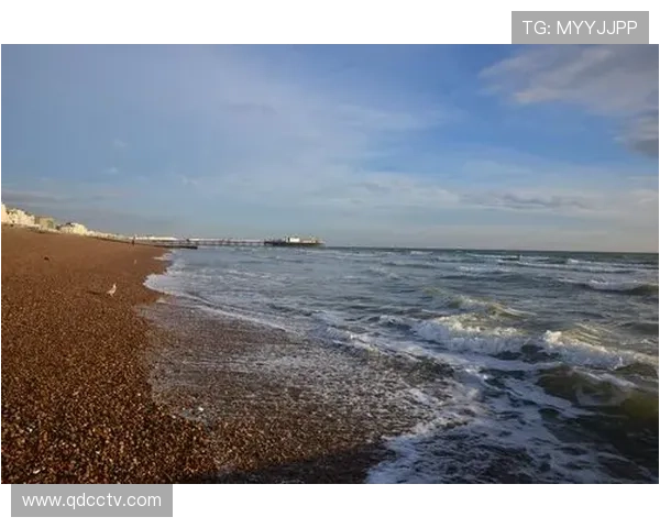 布莱顿俱乐部崛起之路探秘英伦海滨小城的足球荣耀与激情 布莱顿俱乐部崛起之路探秘英伦海滨小城的足球荣耀与激情