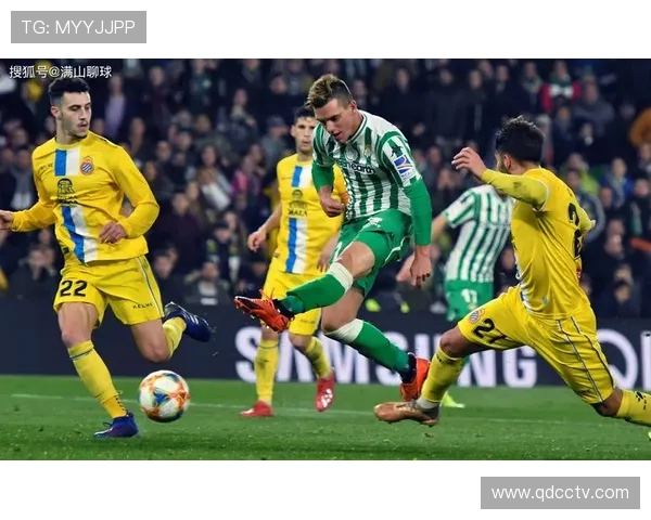 西甲赫罗纳上赛季表现回顾：突破与挑战并存的成长之路